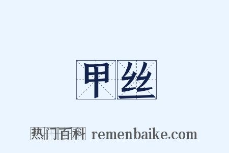 甲丝是什么意思的图片